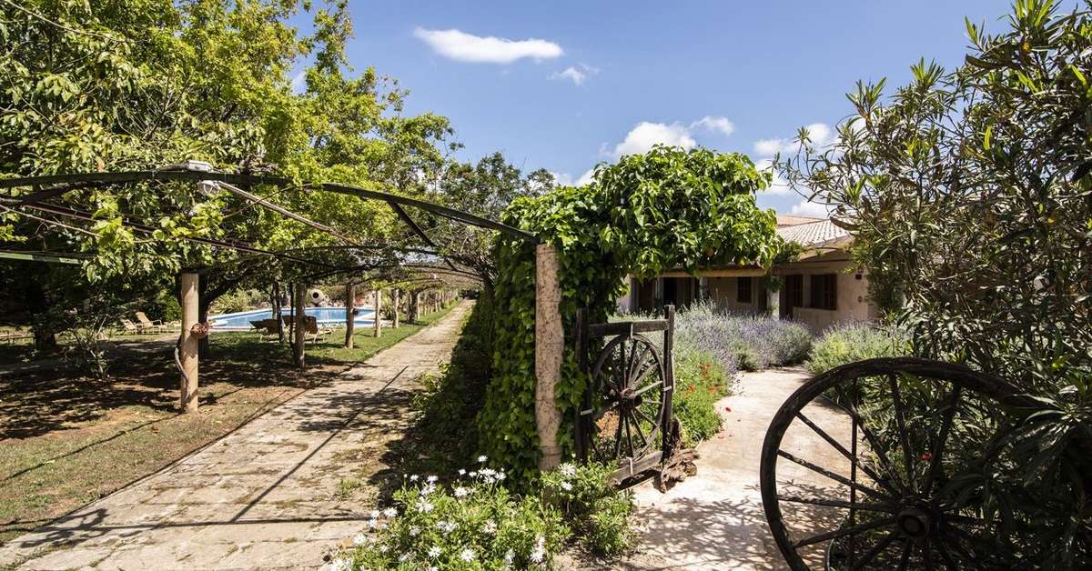 Een foto van het terras bij Aumallia Hotel & Spa