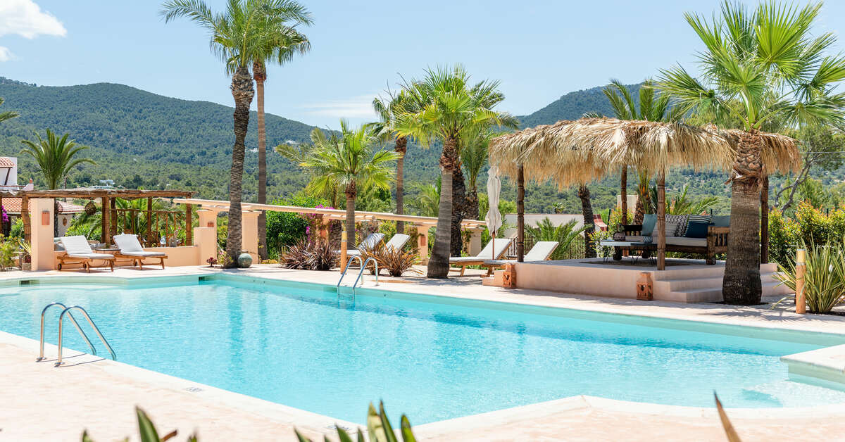 Een foto van Petunia Ibiza