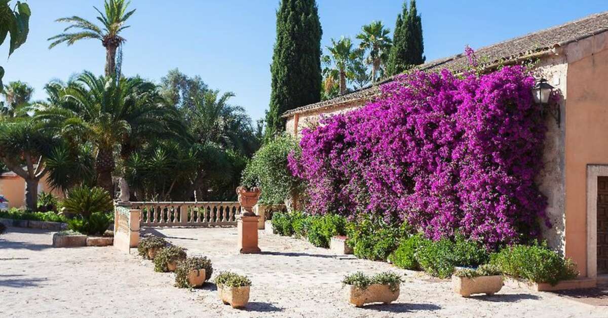 Een foto van Es Revellar Art Resort