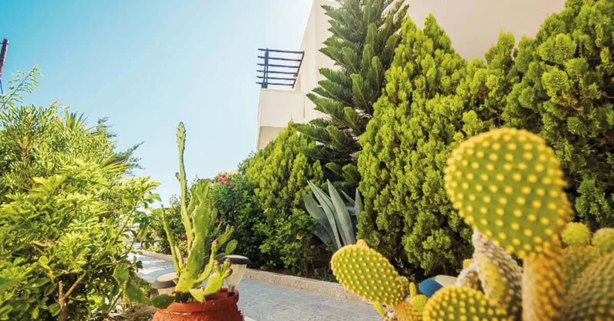 Ein Foto von der Terrasse im Arkasa Bay