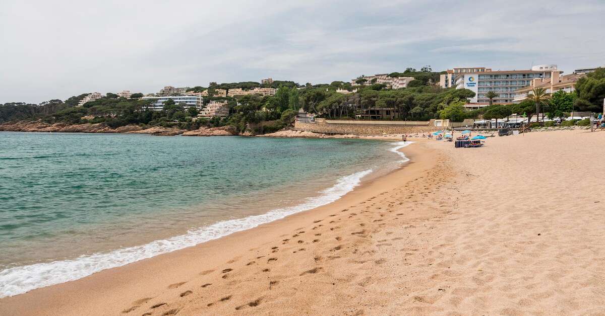 Een foto van het strand bij Hotel Ilunion Caleta Park