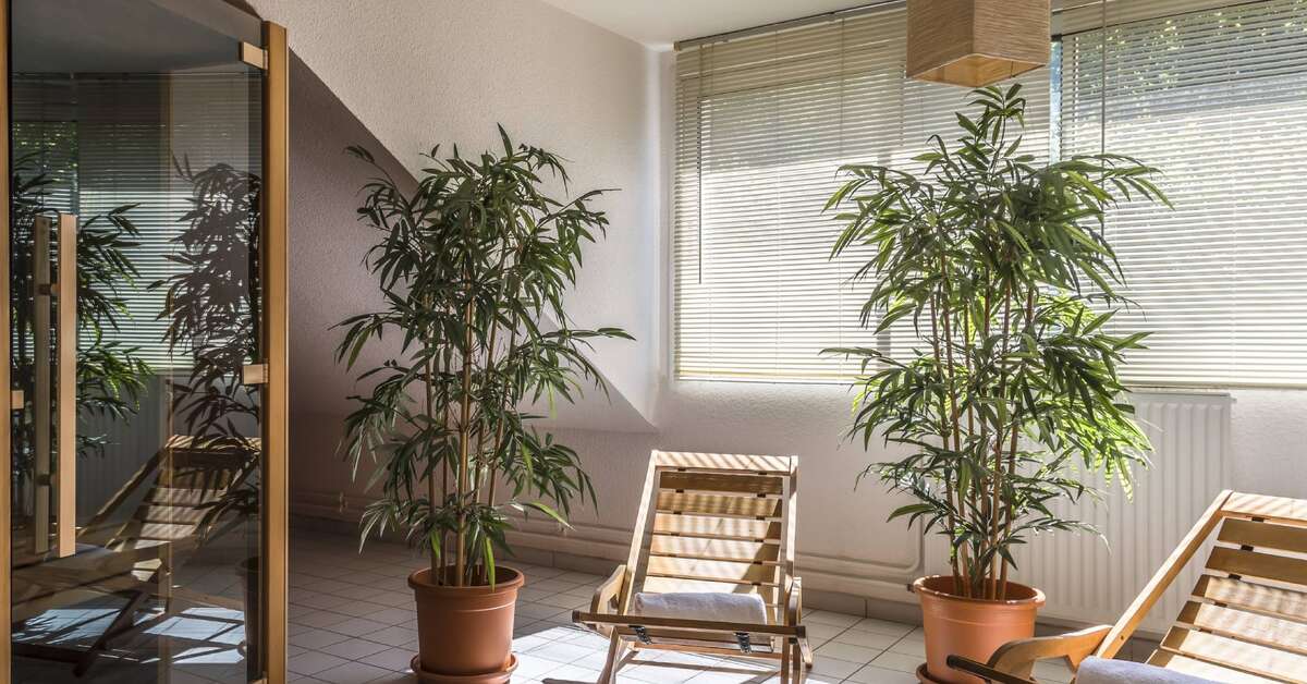 Een foto van Hotel Du Parc Hardelot