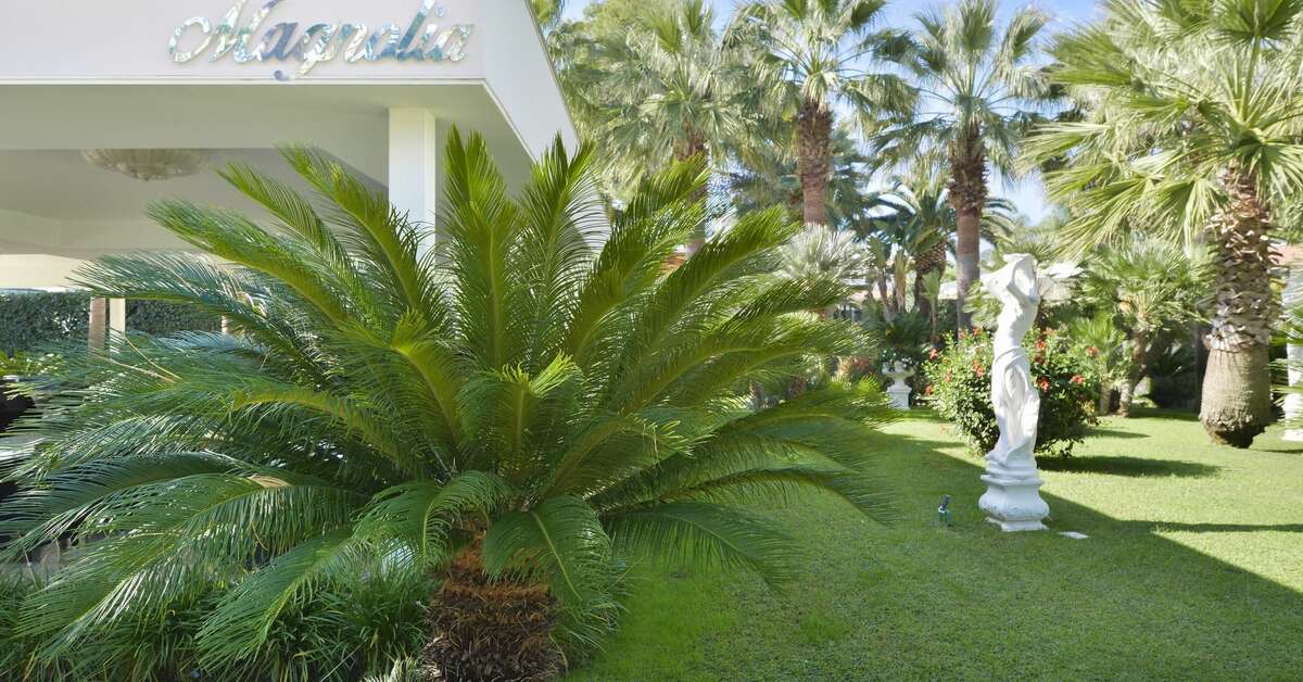 Een foto van Hotel Ariston Paestum