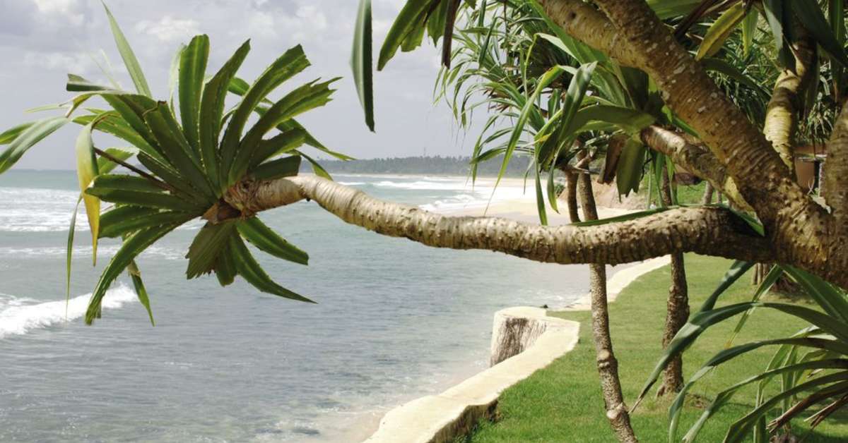 Een foto van The Fortress Resort & Spa