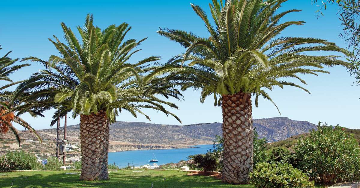 Een foto van Amoopi Bay Hotel