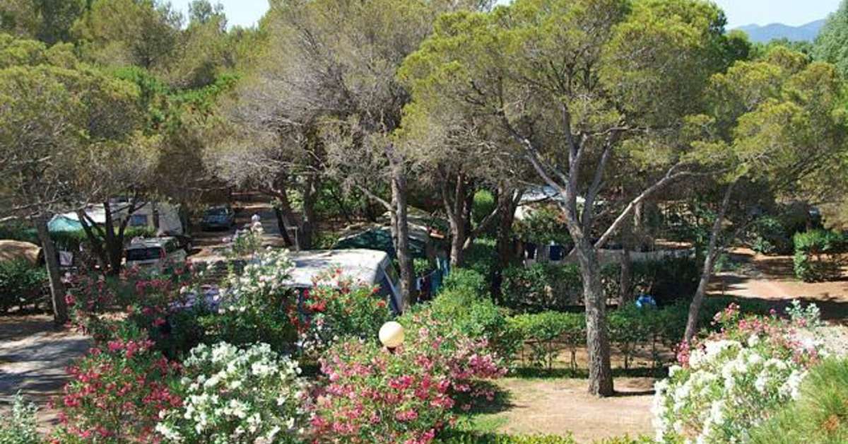 Een foto van de buitenkant van Camping La Baume - La Palmeraie