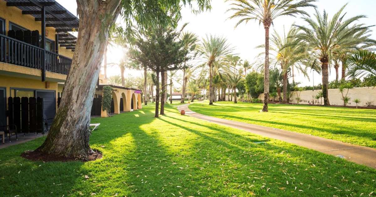 Een foto van het terras bij Robinson Club Jandia Playa