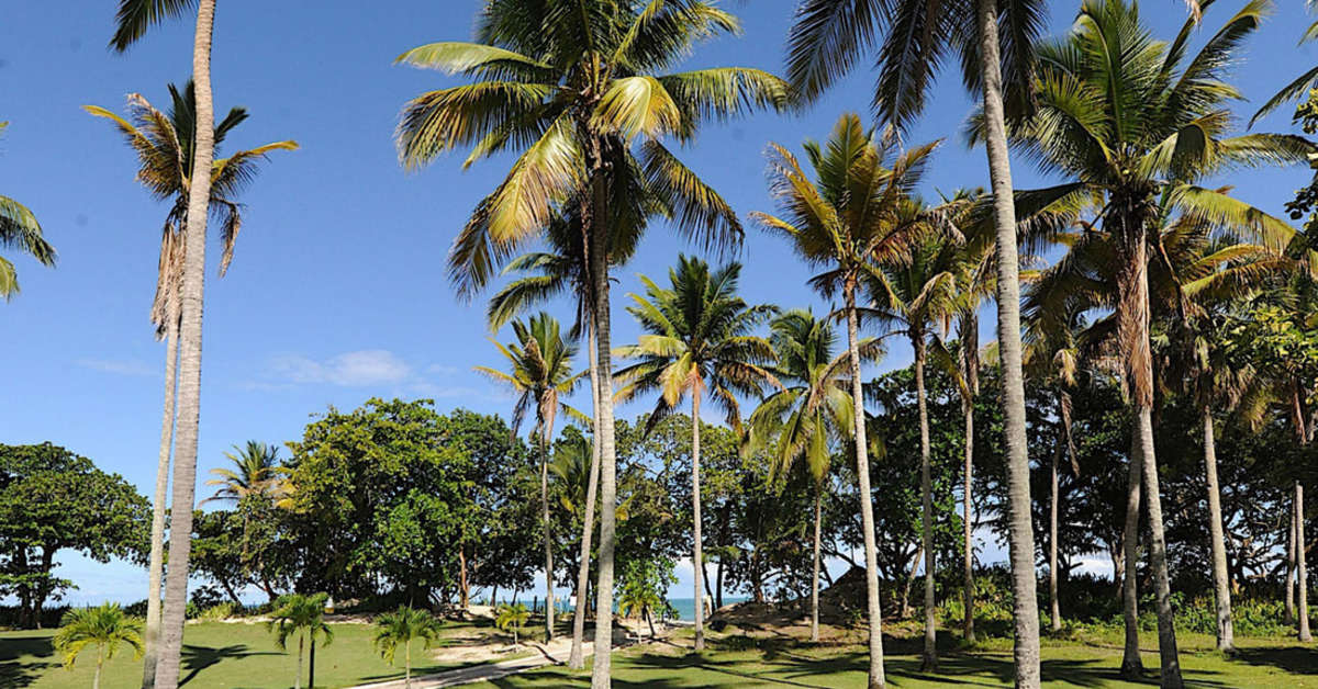 Een foto van Blue Jacktar Hotel & Golf
