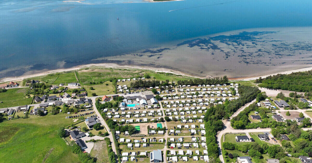 Een foto van Hvalpsund Familie Camping