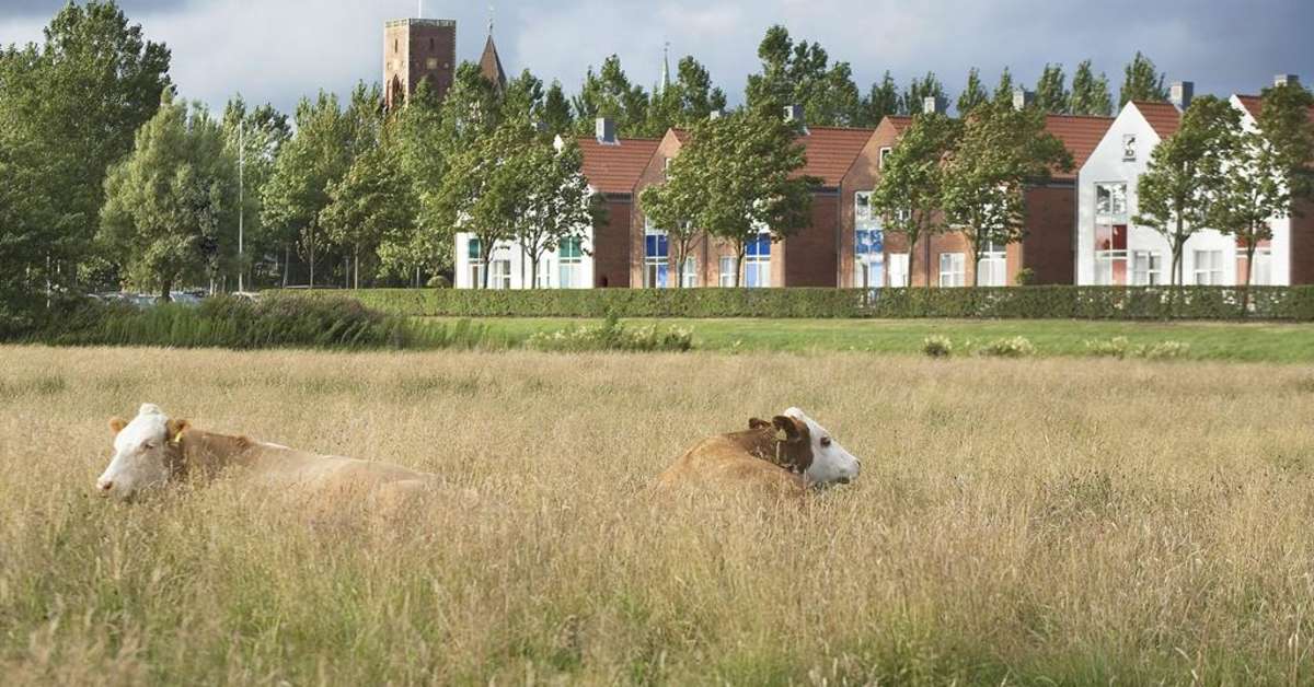 Een foto van Ribe Byferie