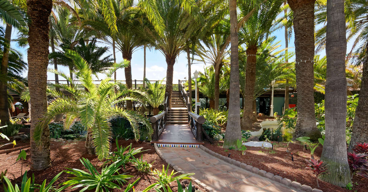 Ein Foto von der Terrasse im Hotel Parque Tropical