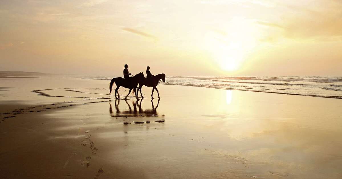 Een foto van Mazagan Beach & Golf Resort