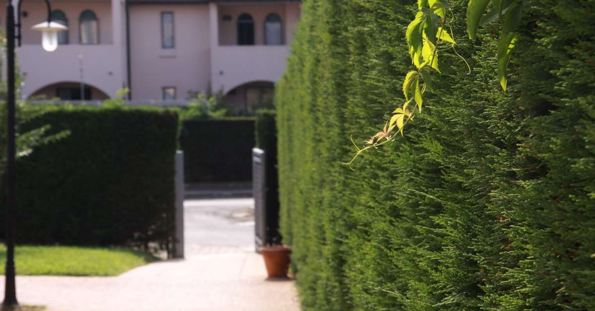 Een foto van Residenza dei Cavalleggeri