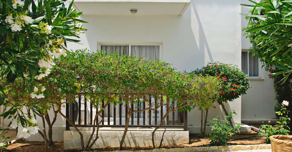 Een foto van Akti Beach Village Resort