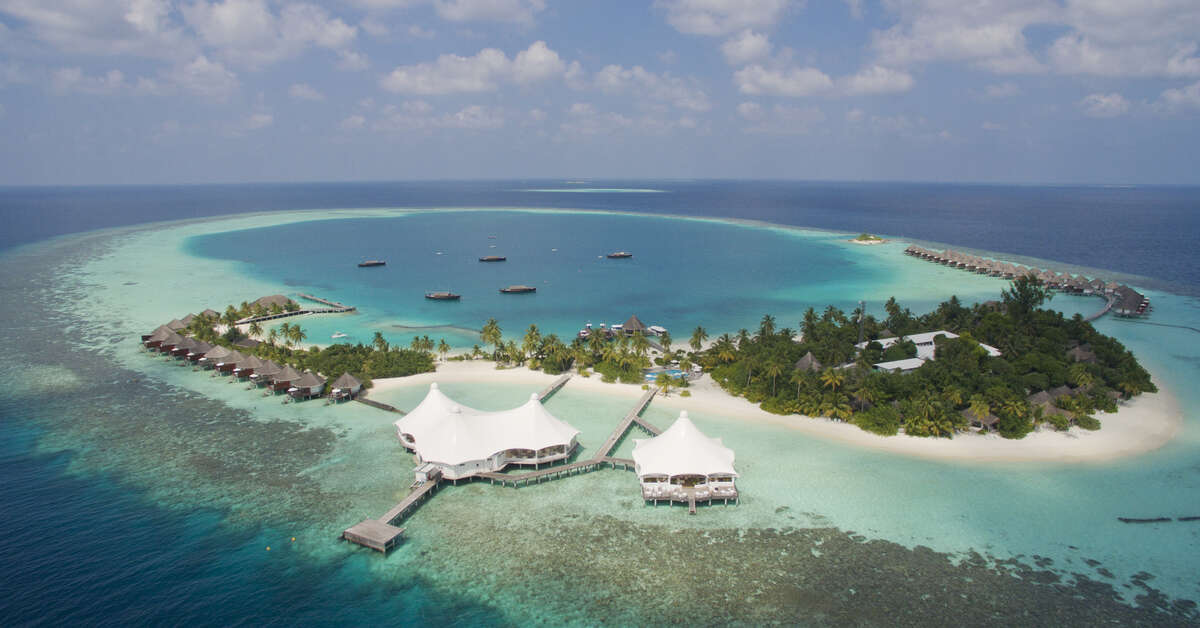 Een foto van Safari Island