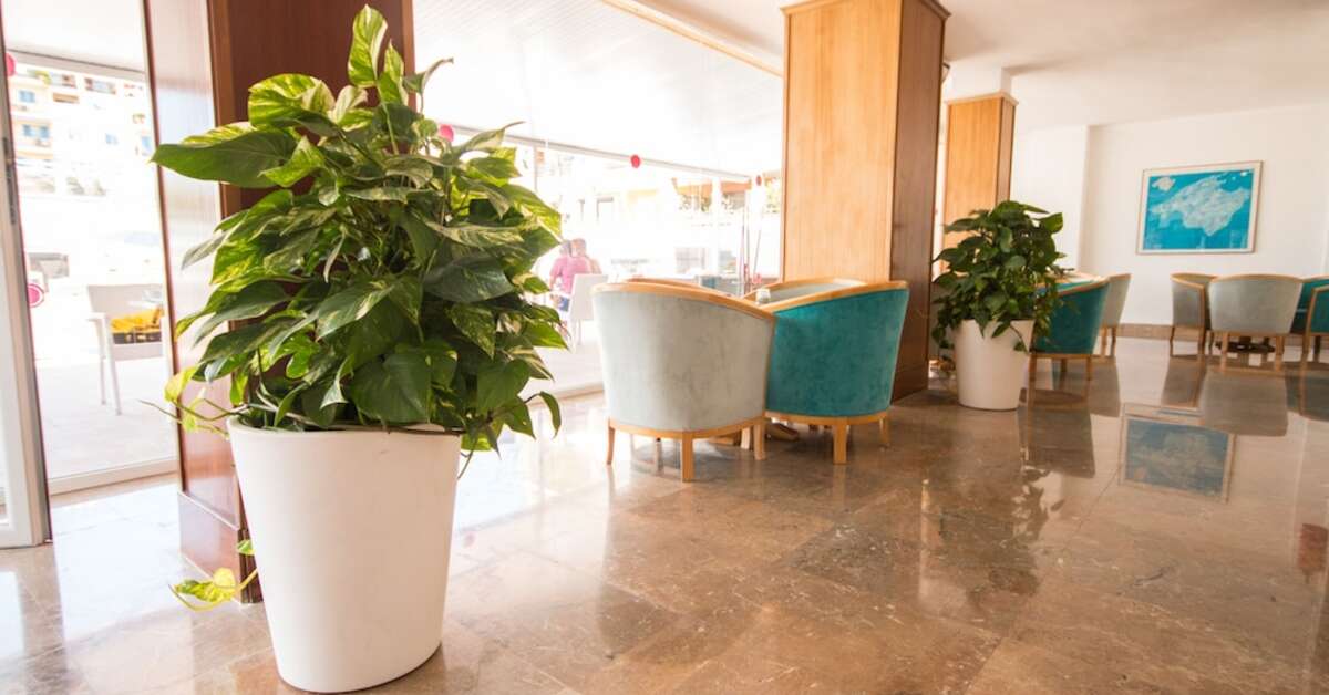 Een foto van het interieur van Hotel Amic Miraflores