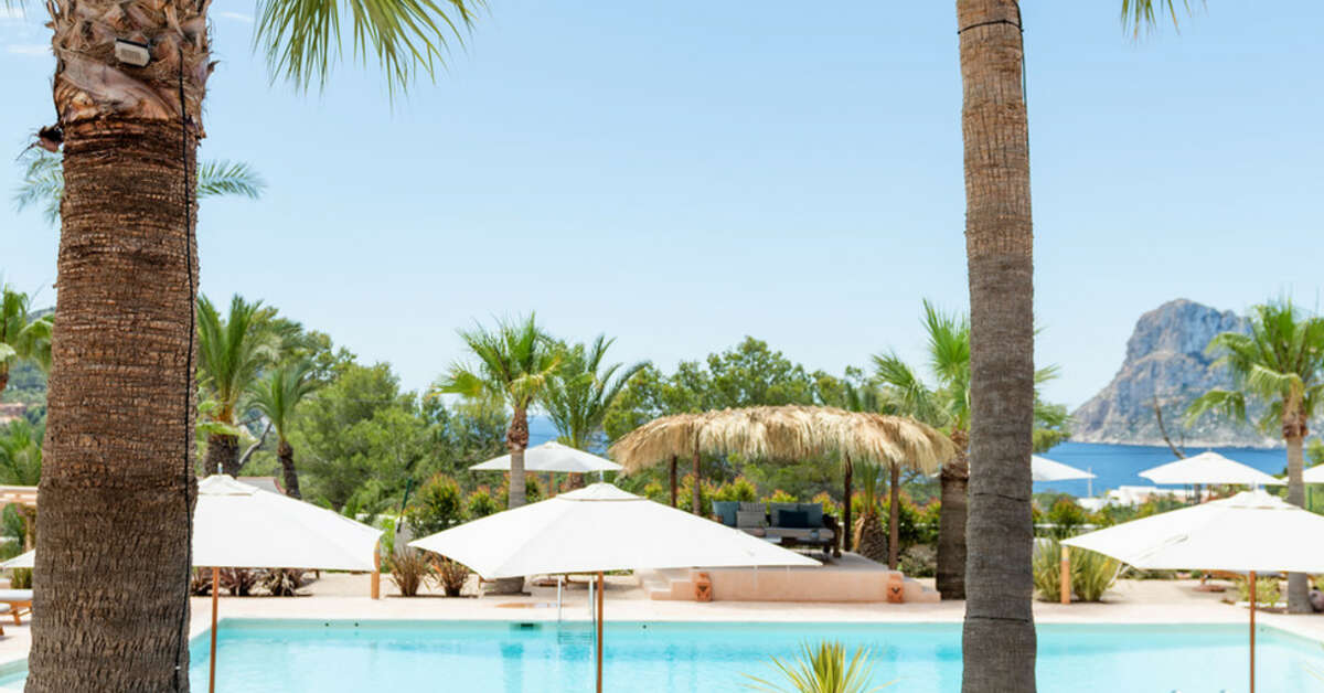 Een foto van Petunia Ibiza