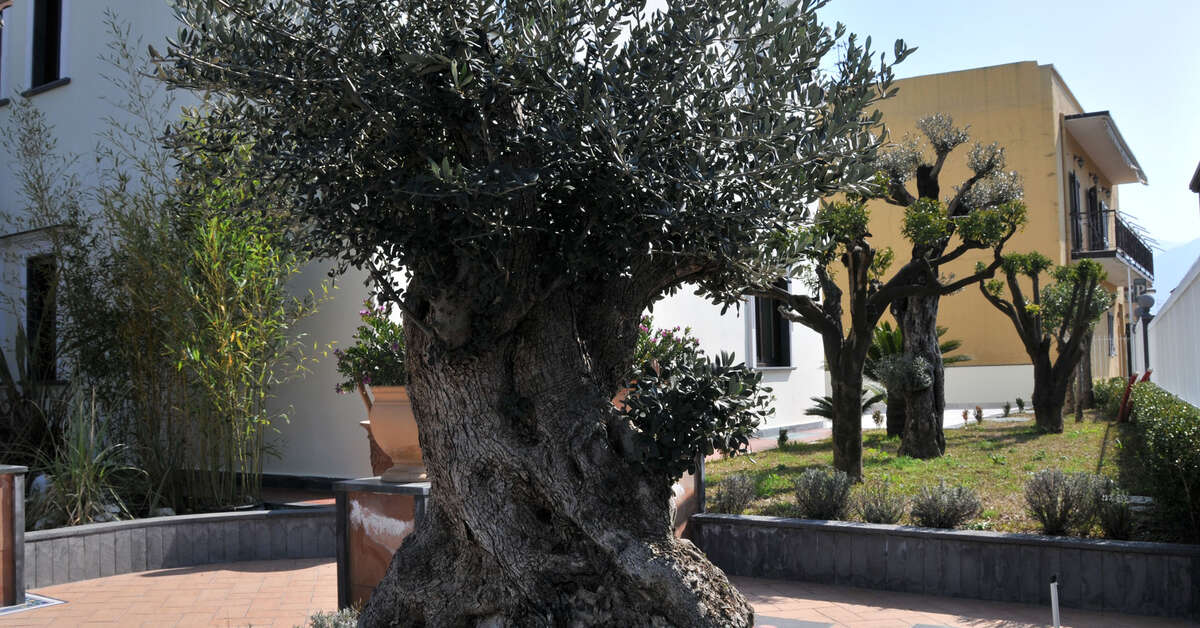 Een foto van Costa Hotel