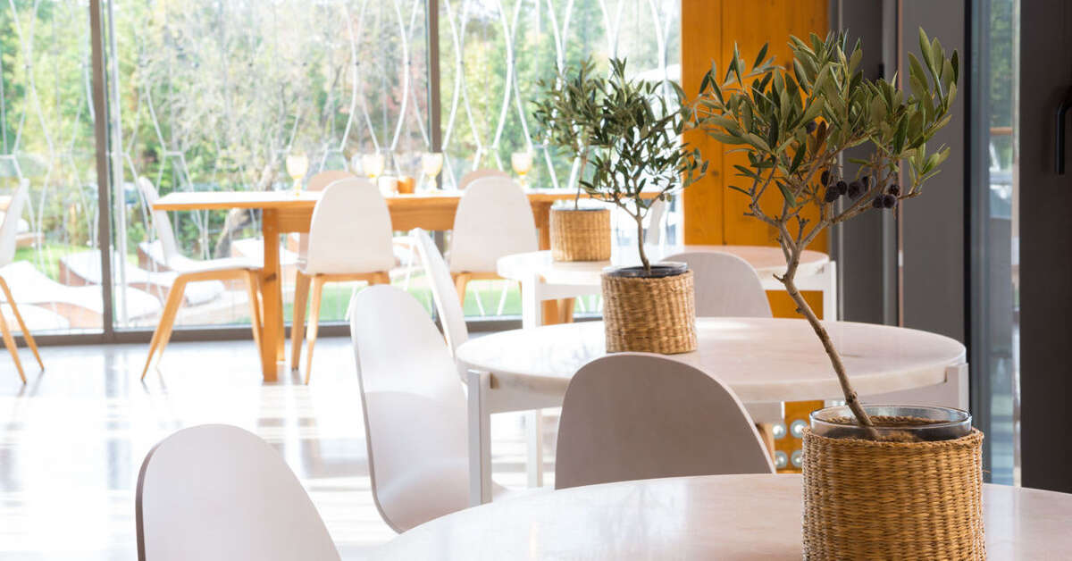 Een foto van Ozadi Tavira Hotel