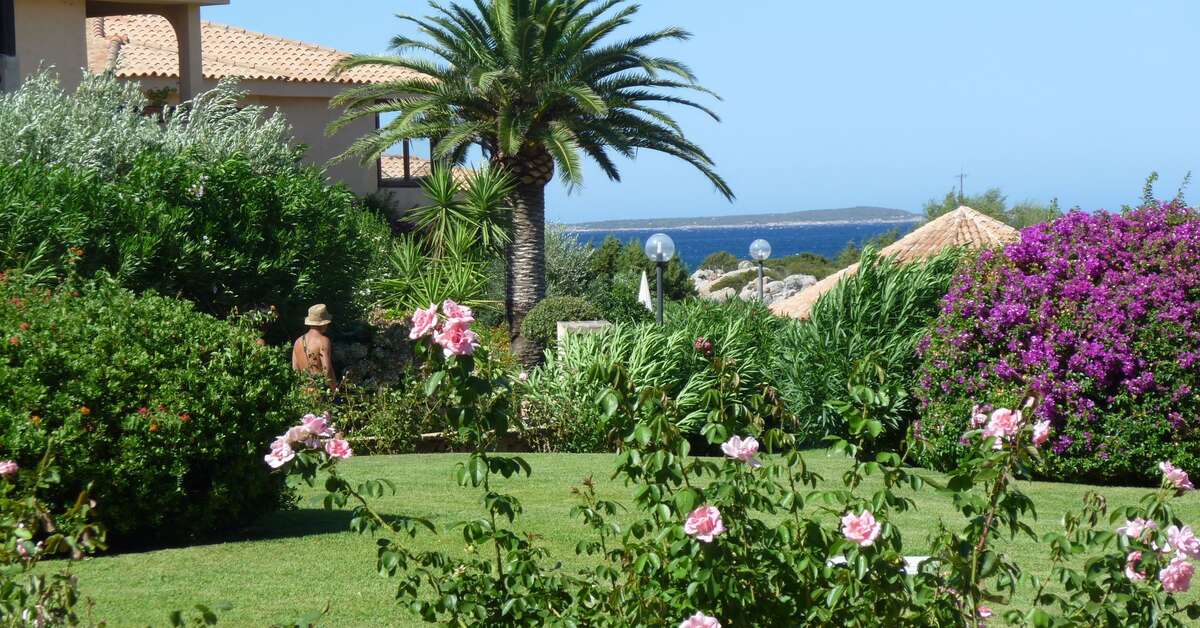 Een foto van Residence Baia de Bahas