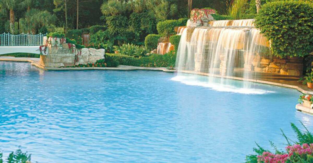 Een foto van Walt Disney World Swan
