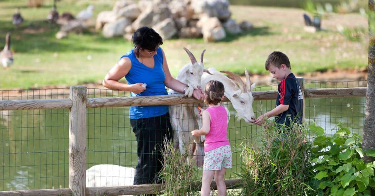 Een foto van Camping Sequoia Parc
