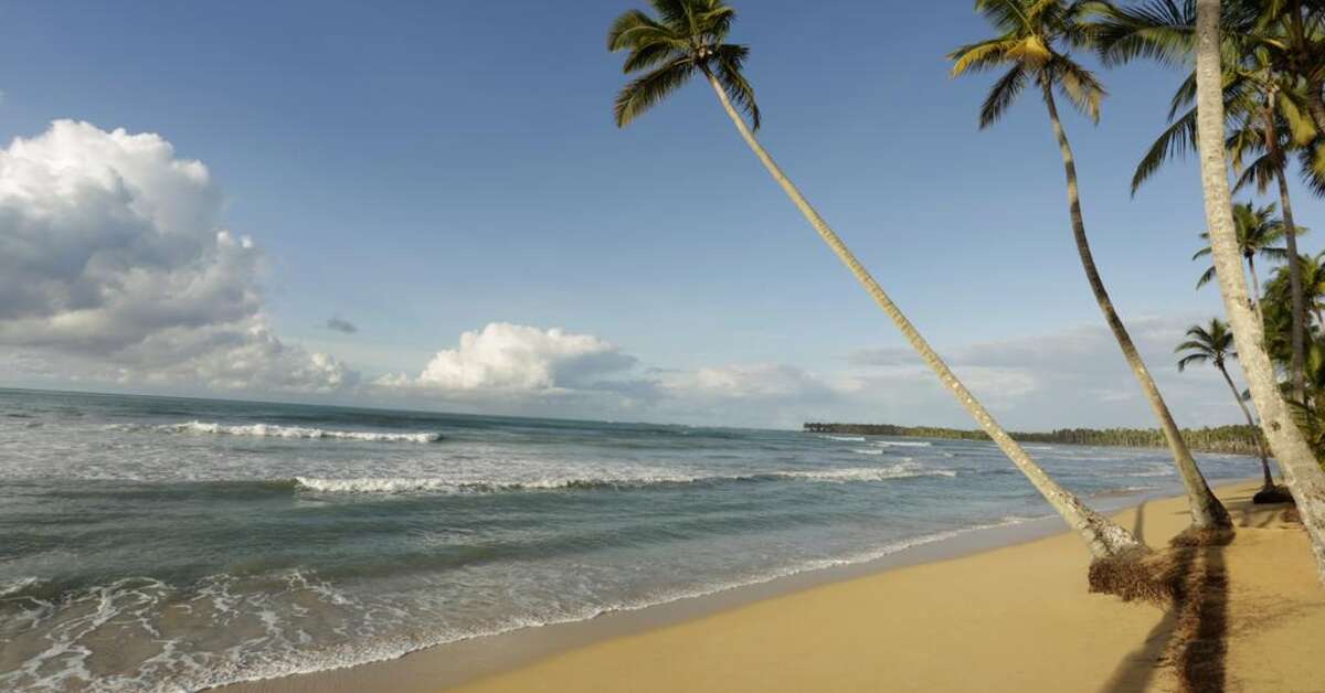 Een foto van Viva Wyndham V Samana