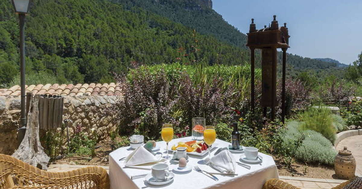 Een foto van het terras bij S'Olivaret Hotel Rural