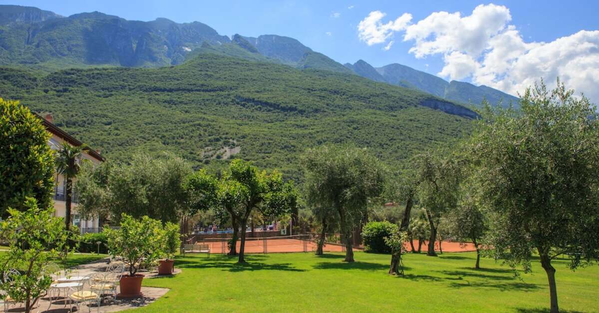 Een foto van Club Hotel Olivi