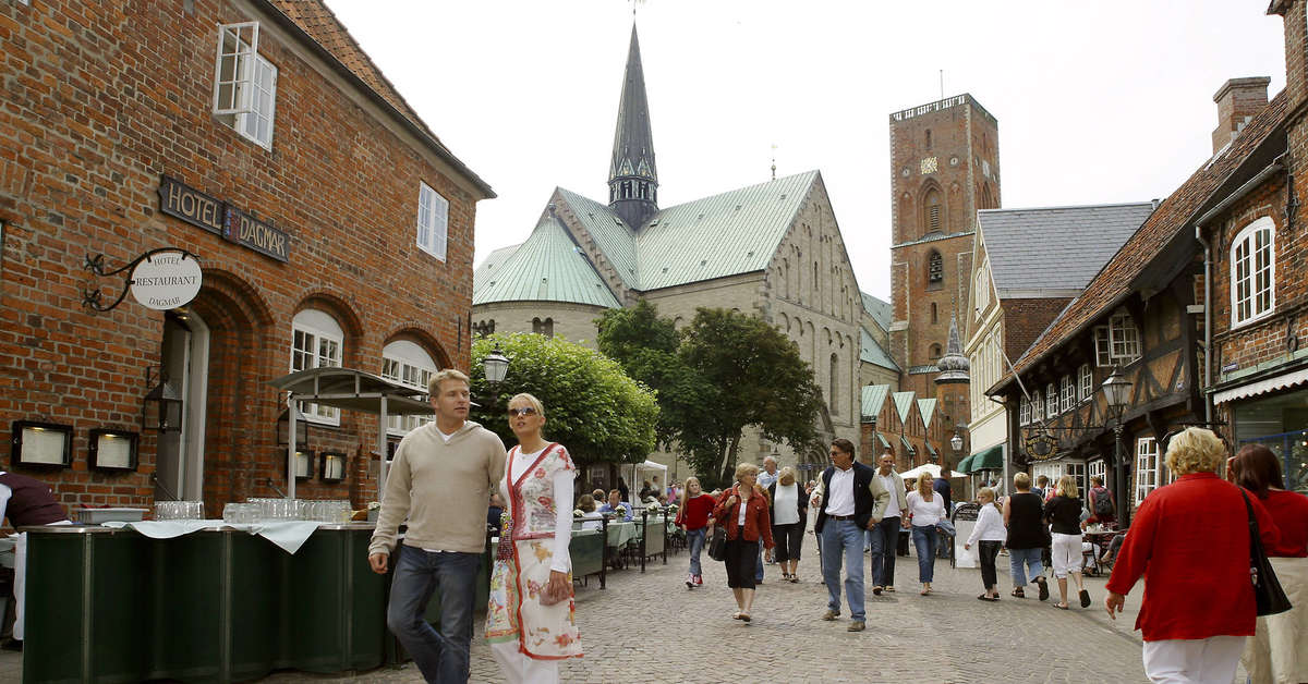 Een foto van Ribe Byferie