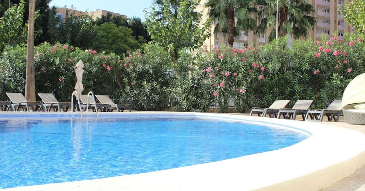 Een foto van Flamingo Beach Resort