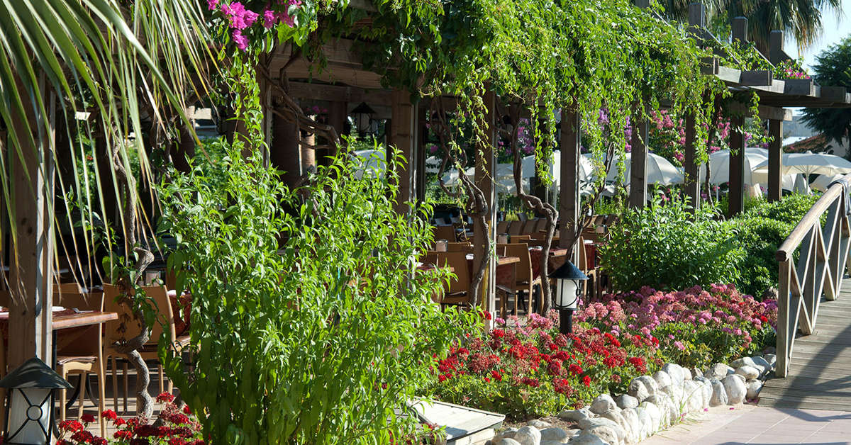 Ein Foto von der Terrasse im Trendy Palm Beach