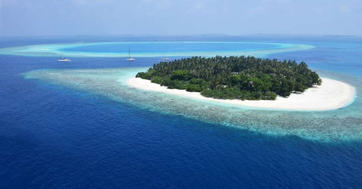 Een foto van Malahini Kuda Bandos
