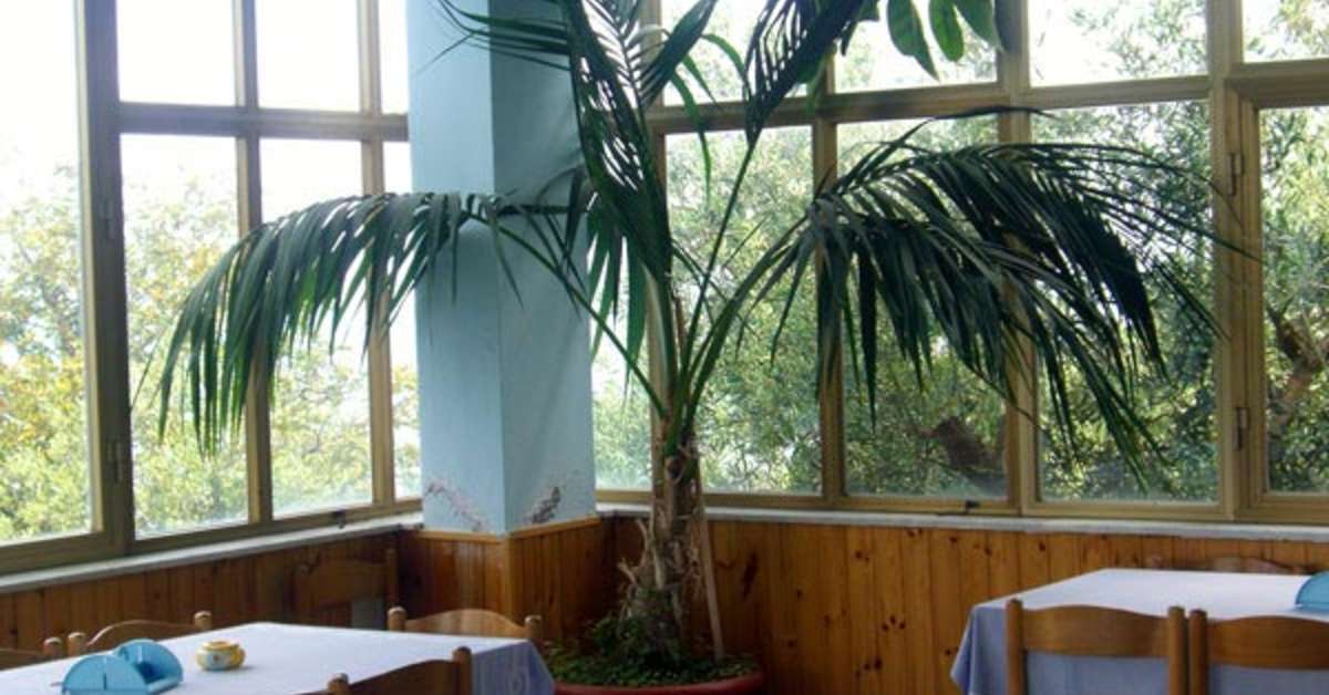 Een foto van Villaggio Baia Serena