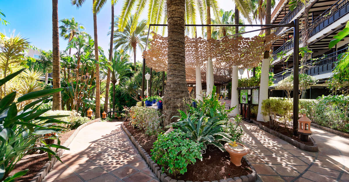 Ein Foto von der Terrasse im Hotel Parque Tropical