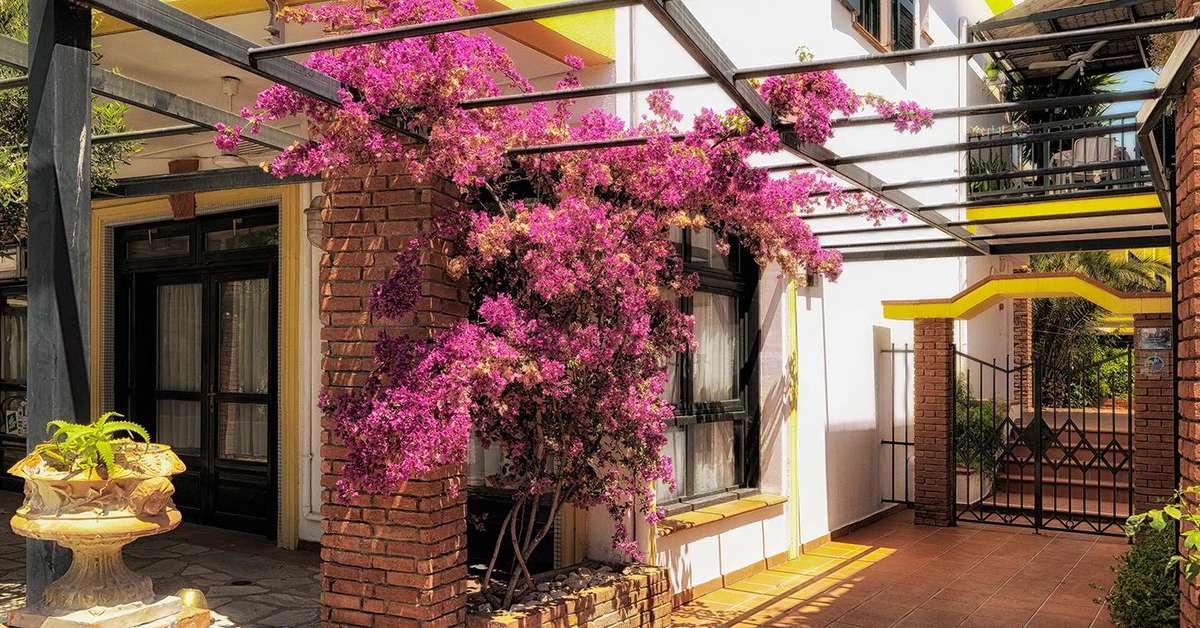 Een foto van Aparthotel Elia