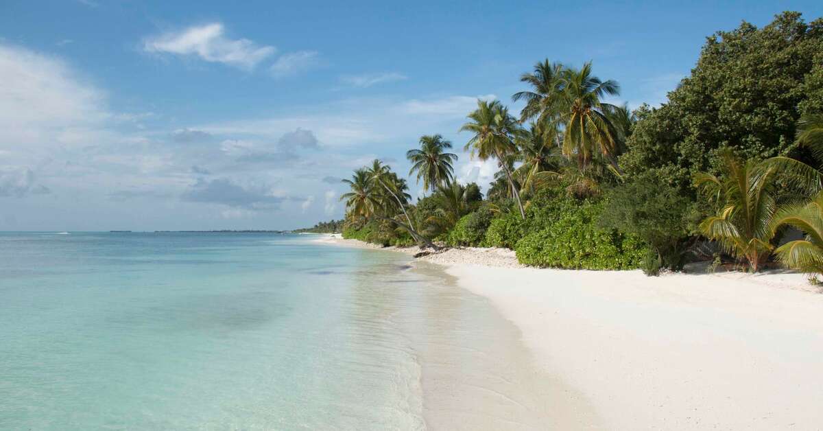 Een foto van Canareef Resort Maldives