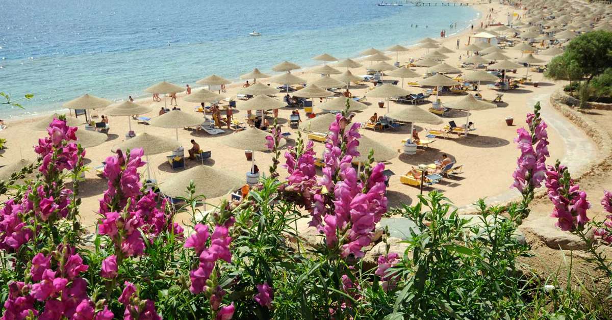 Ein Foto vom Strand beim Domina Coral Bay Aquamarine