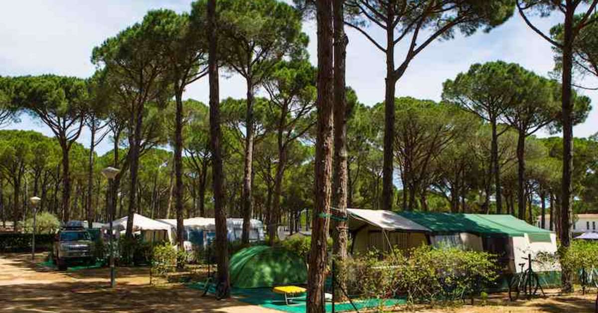 Een foto van Cypsela Resort