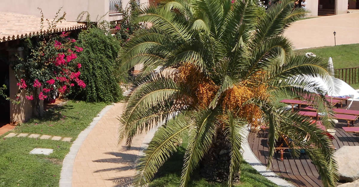 Een foto van S'Incantu Resort