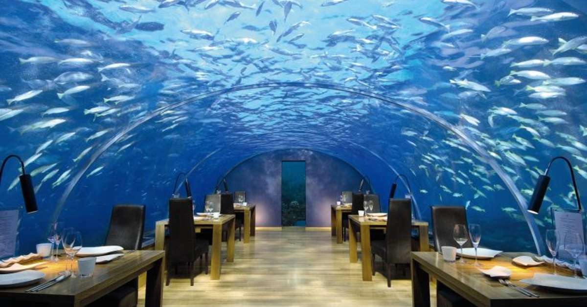 Een foto van Conrad Maldives Rangali Island