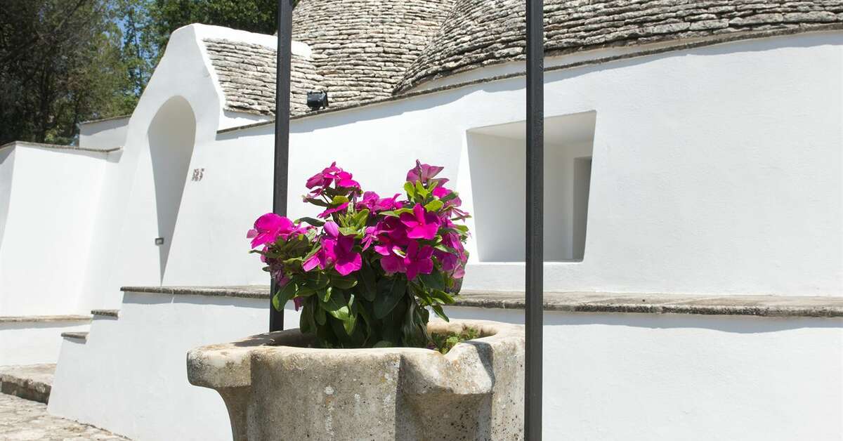 Een foto van Hotel Sierra Silvana