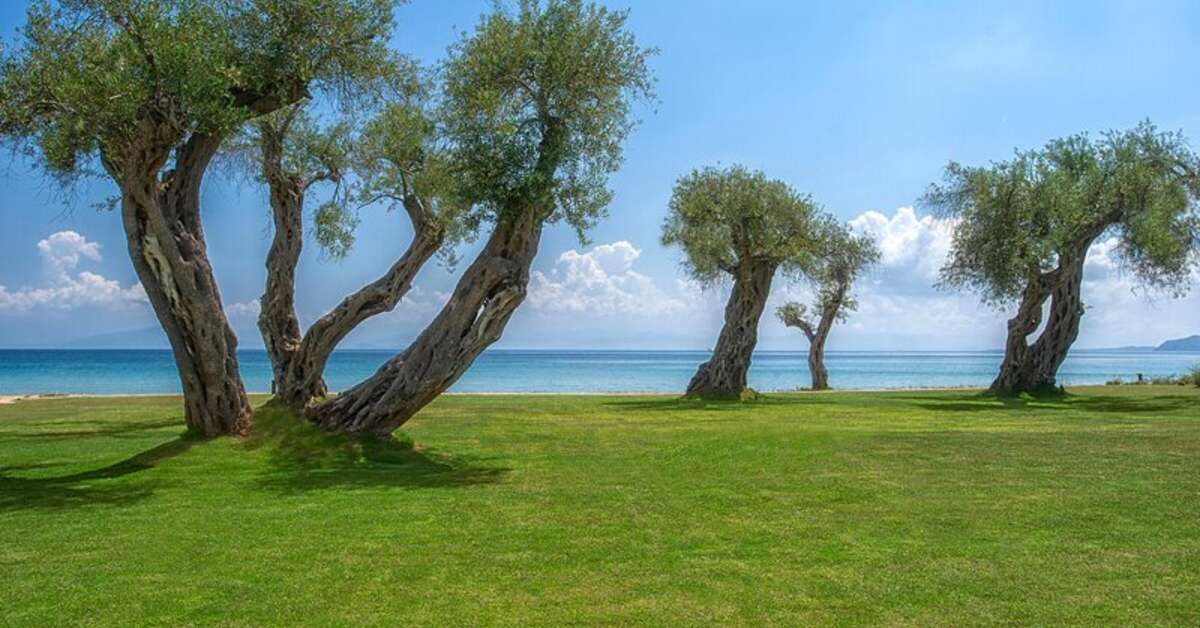 Een foto van het terras bij Domes Miramare
