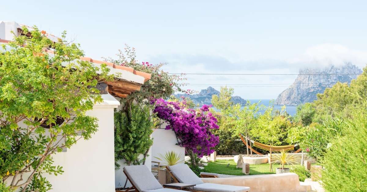 Een foto van Petunia Ibiza