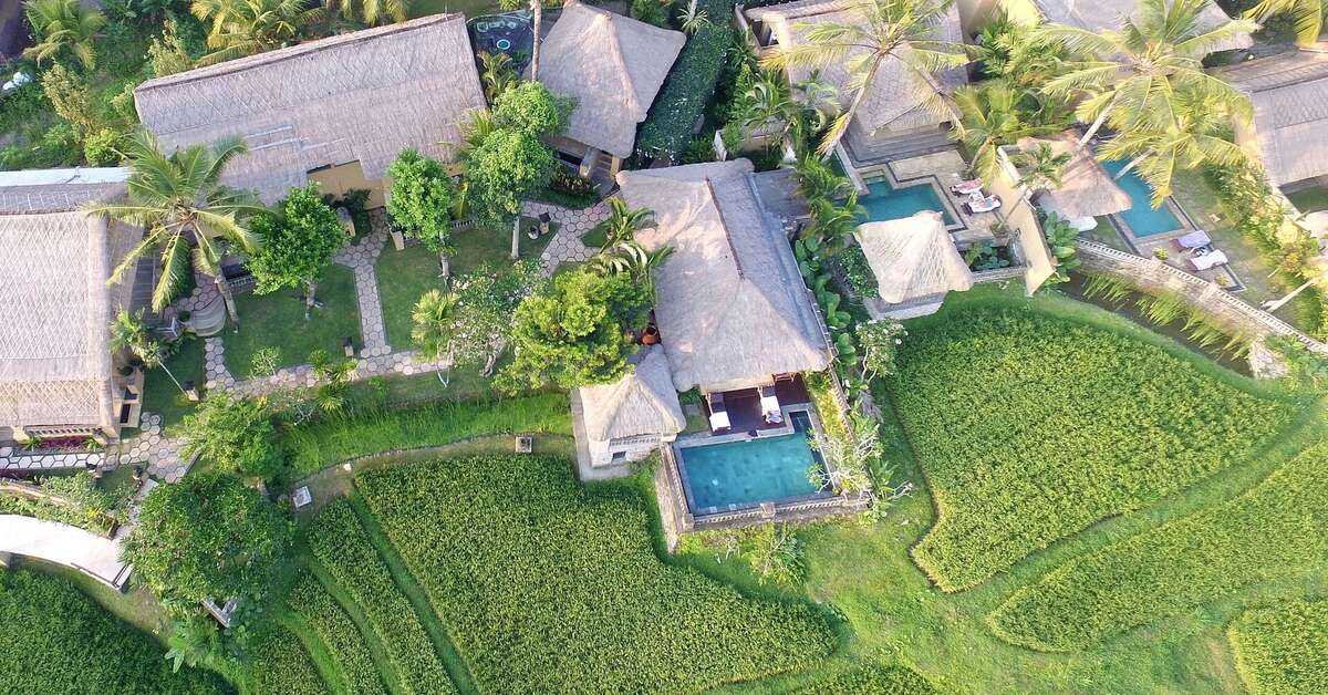 Een foto van Wapa di Ume