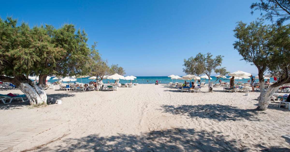 Ein Foto vom Strand beim Tigaki Beach Hotel