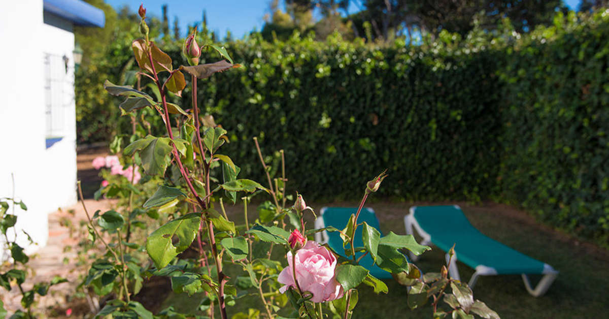 Een foto van Cortijo Fontanilla