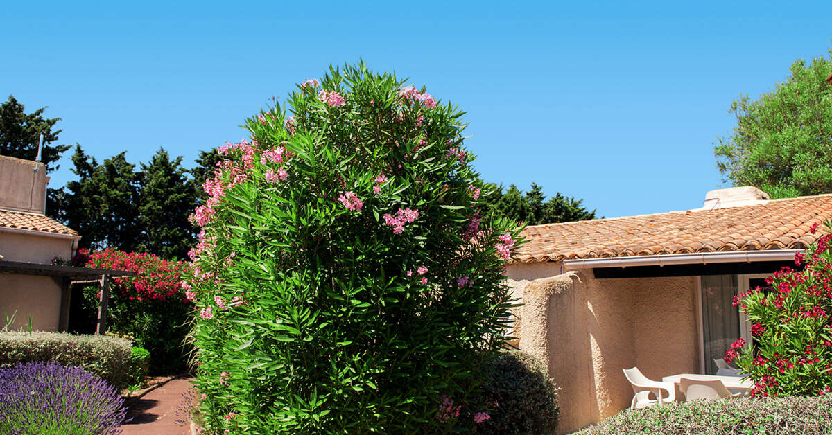 Een foto van SoWell Les Jardins du Cap