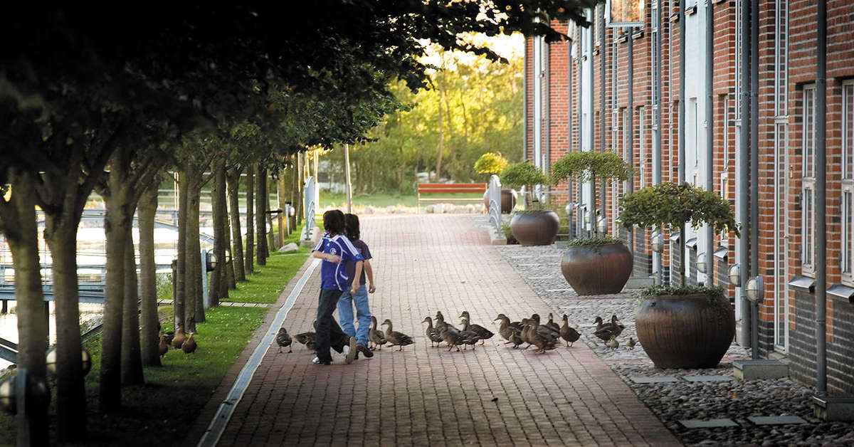 Een foto van Ribe Byferie