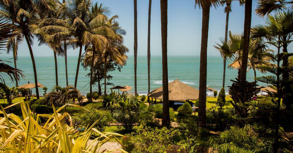Een foto van het terras bij Ngala Lodge